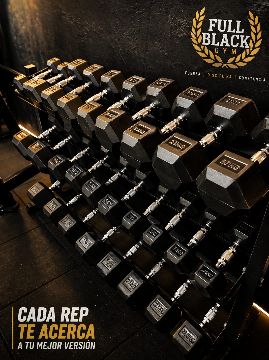Zona de Pesas Libres – Full Black Gym