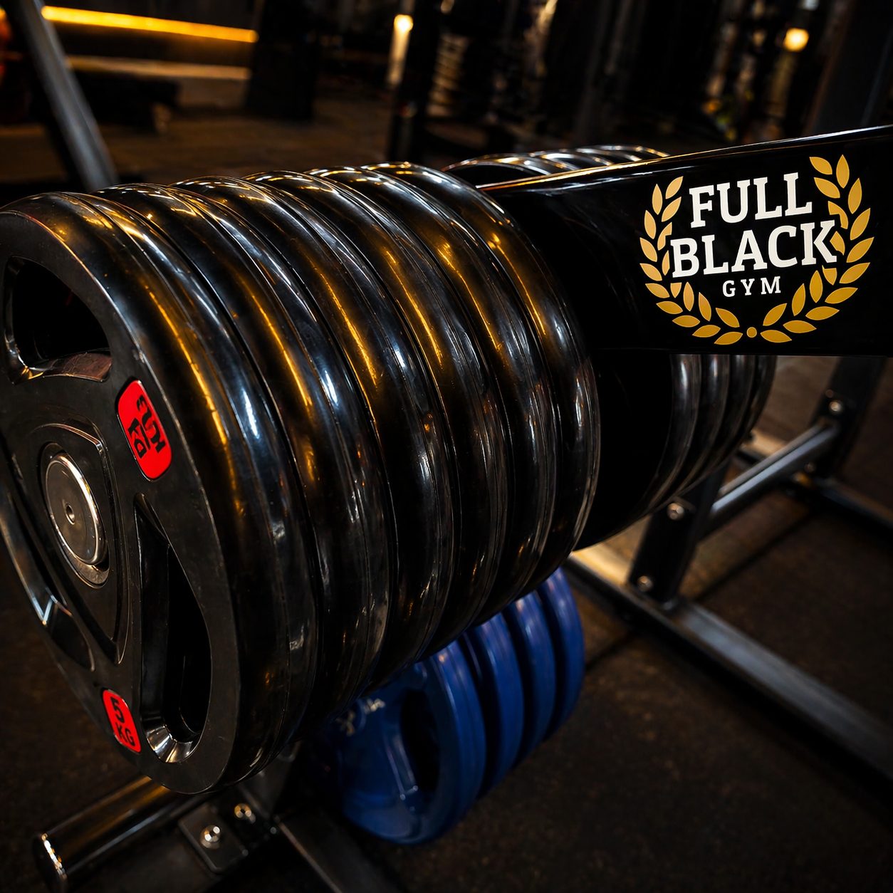 Interior sala de musculación Full Black Gym Rancagua